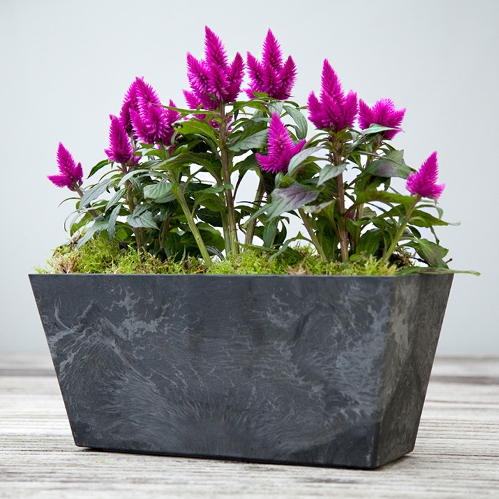 Ella Flower Box 14.5″ – Artstone Black